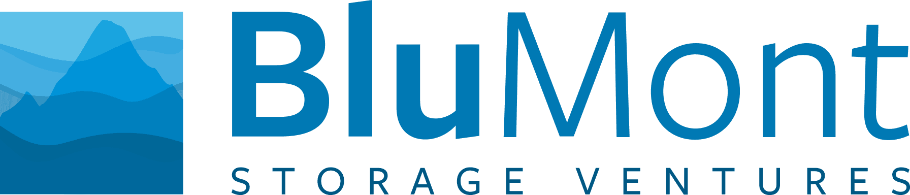 Blumont logo