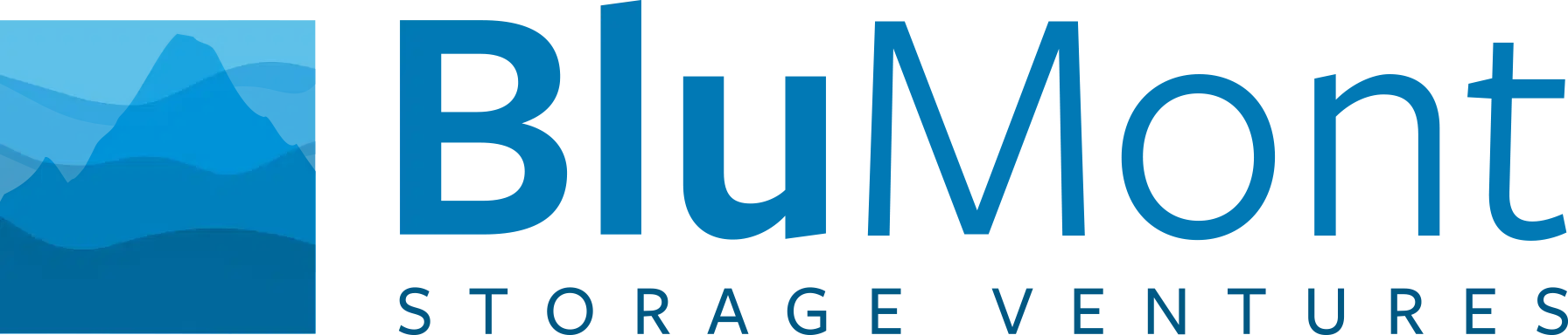 Blumont Ventures logo
